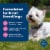 Blue Buffalo Life Protection Formula Natural Chicken and Brown Rice Adult Small Breed Dry Dog Food Perspective: right