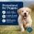 Blue Buffalo Homestyle Natural Puppy Wet Dog Food Chicken Dinner Perspective: right