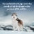 Blue Buffalo Wilderness High-Protein Adult Wet Dog Food Salmon & Chicken Grill Perspective: right