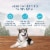 Blue Buffalo Wilderness Beef Grill Trail Trays Wet Dog Food Perspective: right