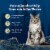 Blue Buffalo Wilderness High-Protein Grain Free Adult Pate Wet Cat Food Variety Pack Perspective: right