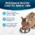 Blue Buffalo Tastefuls Natural Chicken and Rice Indoor Adult Dry Cat Food Perspective: right