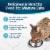 Blue Buffalo Tastefuls Natural Chicken and Brown Rice Adult 7+ Dry Cat Food Perspective: right