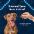 Blue Wilderness Trail Treats Chicken Recipe Wild Bits Training Dog Treats Value Size Perspective: right