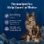Blue Buffalo Wilderness High-Protein Grain-Free Adult Dry Cat Food Chicken Perspective: right