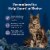 Blue Buffalo Wilderness High-Protein Grain-Free Adult Dry Cat Food Chicken Perspective: right