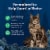 Blue Buffalo Wilderness High Protein Natural Duck Adult Dry Cat Food Perspective: right