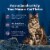Blue Buffalo Wilderness Mature High-Protein Grain-Free 7+ Dry Cat Food Chicken Perspective: right