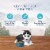 Blue Buffalo Wilderness High Protein Natural Chicken Puppy Dry Dog Food Perspective: right
