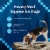 Blue Buffalo Wilderness Trail Toppers Wet Dog Food High-Protein Variety Pack Chicken & Beef Perspective: right