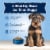 Blue Buffalo Baby BLUE Healthy Growth Formula Natural Chicken and Brown Rice Puppy Dry Dog Food Perspective: right