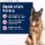 Blue Buffalo True Solutions Blissful Belly Natural Chicken Digestive Care Adult Wet Dog Food Perspective: right