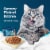 Blue Buffalo Tastefuls Natural Chicken Entrée in Gravy Flaked Wet Cat Food Perspective: right
