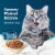 Blue Buffalo Tastefuls Natural Wet Food for Adult Cats Flaked Chicken Entrée in Gravy Perspective: right