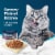 Blue Buffalo Tastefuls Natural Fish and Shrimp Entrée in Gravy Flaked Wet Cat Food Perspective: right