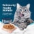 Blue Buffalo Tastefuls Natural Tender Morsels Chicken Entrée in Savory Sauce Wet Cat Food Perspective: right