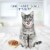 Blue Buffalo Tastefuls Natural Tuna Chicken and Fish & Shrimp Flaked Wet Cat Food Variety Pack Perspective: right