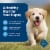 Blue Buffalo Life Protection Formula Natural Puppy Dry Dog Food Chicken & Brown Rice Perspective: right