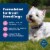 Blue Buffalo Life Protection Formula Natural Chicken and Brown Rice Adult Small Breed Dry Dog Food Perspective: right