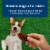Blue Buffalo Nudges Grillers Natural Steak Dog Treats Perspective: right