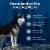 Blue Buffalo Wilderness High Protein Natural Chicken and Wholesome Grains Adult Dry Dog Food Perspective: right