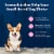 Blue Buffalo Wilderness Natural High-Protein Dry Food for Small Breed Adult Dogs Chicken Recipe Perspective: right