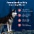 Blue Buffalo Wilderness High Protein Natural Adult Dry Dog Food Salmon Perspective: right