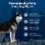 Blue Buffalo Wilderness High Protein Natural Chicken and Wholesome Grains Adult Dry Dog Food Perspective: right