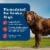 Blue Buffalo Homestyle Recipe Senior Wet Dog Food, Beef Dinner with Garden Vegetables, 12.5-oz Can Perspective: right
