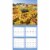 Lang Nature's Wonders 2024 Wall Calendar Perspective: right