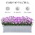 48.5  Plastic Cultivation Bed Flower, Herb, Veggie Planter for Garden, Backyard Perspective: right