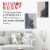 12  x 16  Gallery Depth 1-1/2  Profile Stretched Canvas 3-Pack - Gesso Triple Primed Cotton Perspective: right
