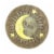 Summerfield Terrace 10017956 10.2 x 10.2 x 0.5 in. Sun & Moon Glowing Stepping Stone Perspective: right