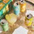 JuneShine Hard Kombucha Tequila Margarita Variety Pack Perspective: right