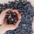 Tru Fru Nature's Blueberries Hyper-Chilled in White & Dark Chocolate Perspective: right
