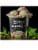 Wicked Kitchen™ Plant-Based Mint Chocolate Chip Ice Dream Perspective: right