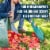 MEKKAPRO Big Gulp Leaf Garden Bag, 2-Pack with Reinforced Handles, 53 Gallon Perspective: right