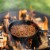 RollinGreens Me'eat Chorizo Perspective: right