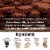 Bittersweet Chocolate with Dried Blueberries & Cacao Nibs - 8 Packs | 1.27 Oz each Perspective: right