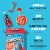 Lunchly™ The Pizza Lunch Kit Perspective: right