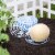 Homarden Melon Cradle, Pumpkin Support, Watermelon Holder Stand Trellis (Set of 12) Perspective: right
