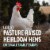 Vital Farms® True Blues Pasture Raised Heirloom Medium Eggs Perspective: right