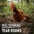 Vital Farms® Pasture-Raised Hard Boiled Eggs Perspective: right
