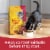 Meow Mix Hairball Control Dry Cat Food Perspective: right