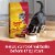 Meow Mix Hairball Control Dry Cat Food Perspective: right