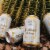 Huss Brewing Co. Scottsdale Blonde German Style Kolsch Perspective: right