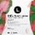 L. Chlorine Free Organic Cotton Ultra Thin Liners Regular Absorbency Perspective: right