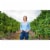 Brancott Estate B Letter Series Sauvignon Blanc New Zealand White Wine Perspective: right