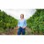 Brancott Estate Pinot Noir New Zealand Red Wine Perspective: right