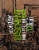 Scofflaw Basement India Pale Ale Perspective: right